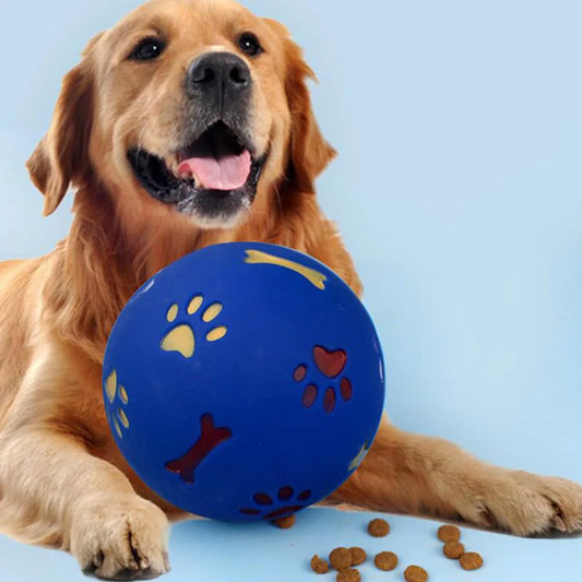Stimuleringsboll för Hund